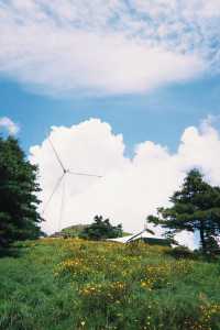 不是新疆!是湖北恩施被嚴重低估的高山草原!