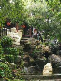 雨潤大觀.翠影浮光