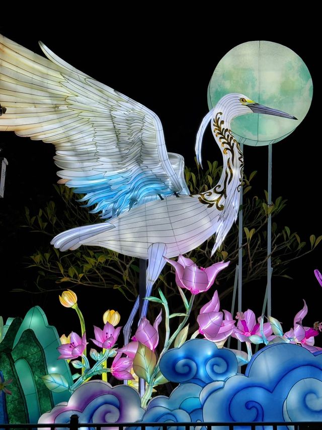 廈門夜遊頂流！園博苑花燈每週末限定浪漫