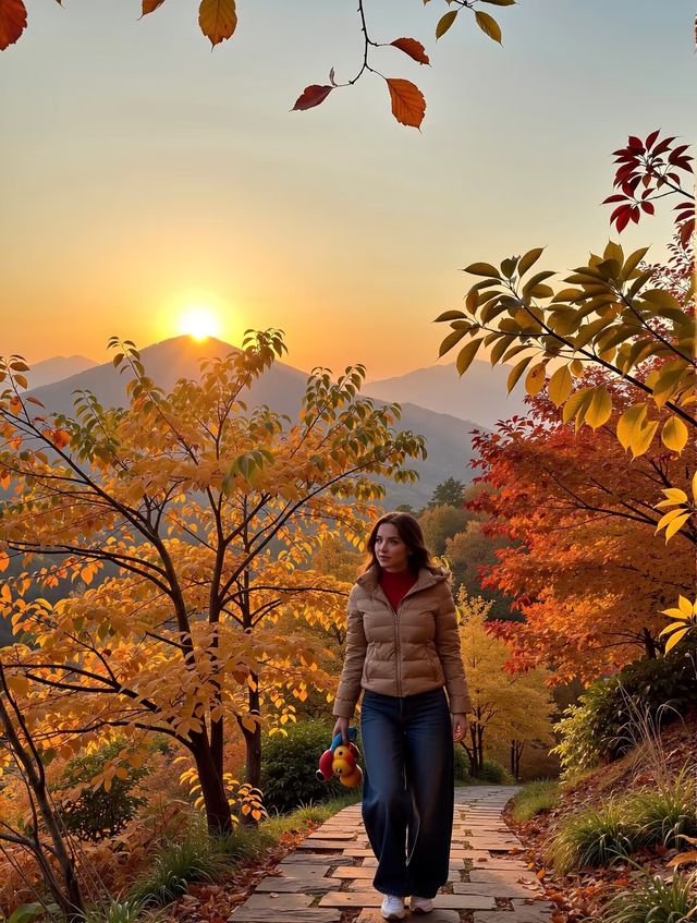 私藏!北京絕美紅葉秘境不用人擠人也能拍大片! 私藏!北京絕美紅葉秘境不用人擠人也能拍大片!