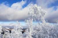 興安盟冬季旅遊活動倡議