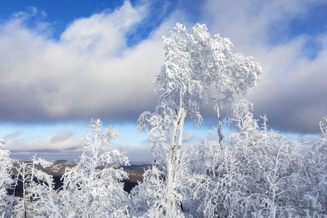興安盟冬季旅遊活動倡議