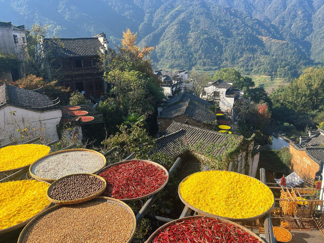 婺源篁嶺曬秋絕絕子手機拍到斷電哭著求饒