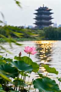 2天玩轉濟南-泰安超全攻略來啦