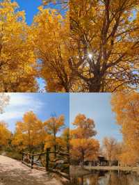 敦煌沙漠奇觀！騎駱駝穿越千年壁畫，這趟值了！