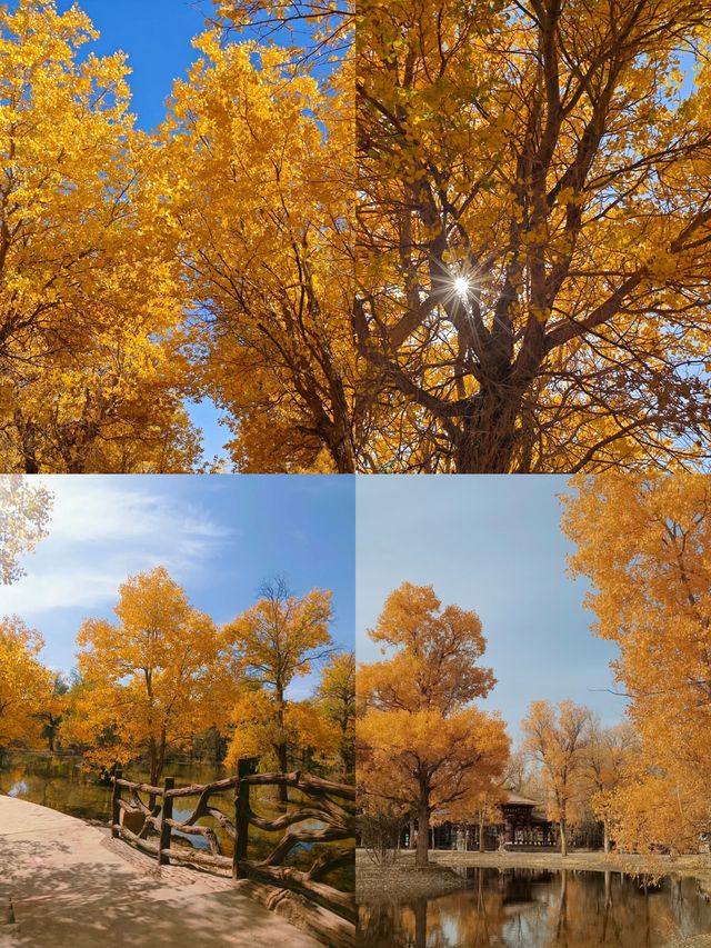 敦煌沙漠奇觀！騎駱駝穿越千年壁畫，這趟值了！