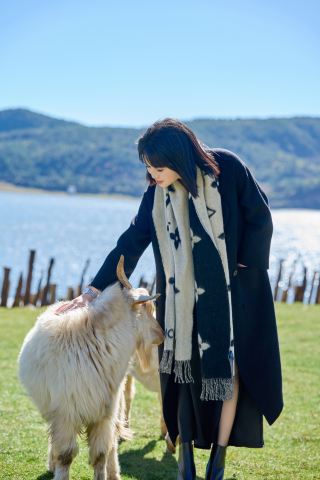 Потолок в отеле "Ляг и отдыхай"