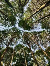 Jeju Photo Secrets: 7 Hidden Gems for Jaw-Dropping Shots!