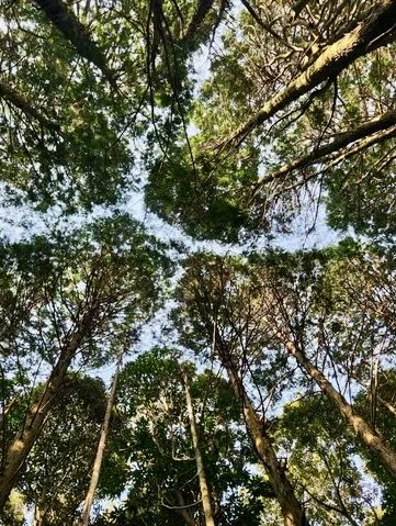 Jeju Photo Secrets: 7 Hidden Gems for Jaw-Dropping Shots! Jeju Photo Secrets: 7 Hidden Gems for Jaw-Dropping Shots!