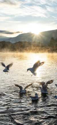 | 把山海星辰裝進房間的日與夜