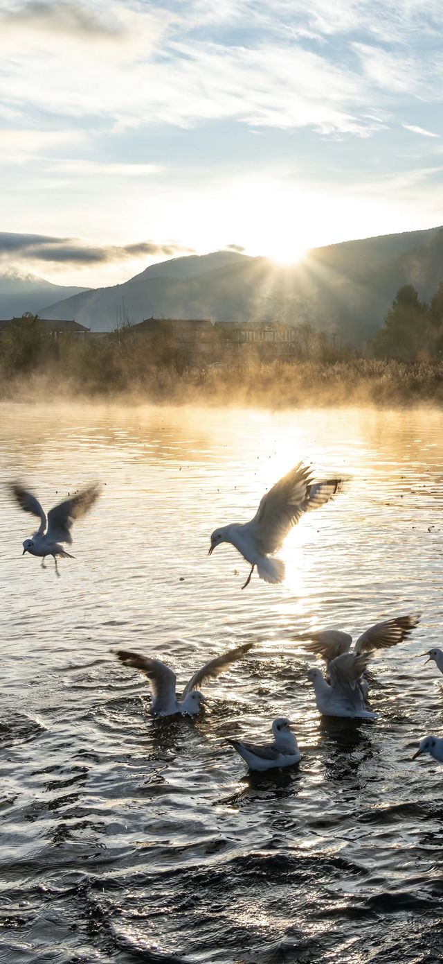 | 把山海星辰裝進房間的日與夜 | 把山海星辰裝進房間的日與夜