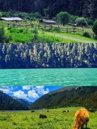 香格里拉無底湖3800米高原的藍色眼淚