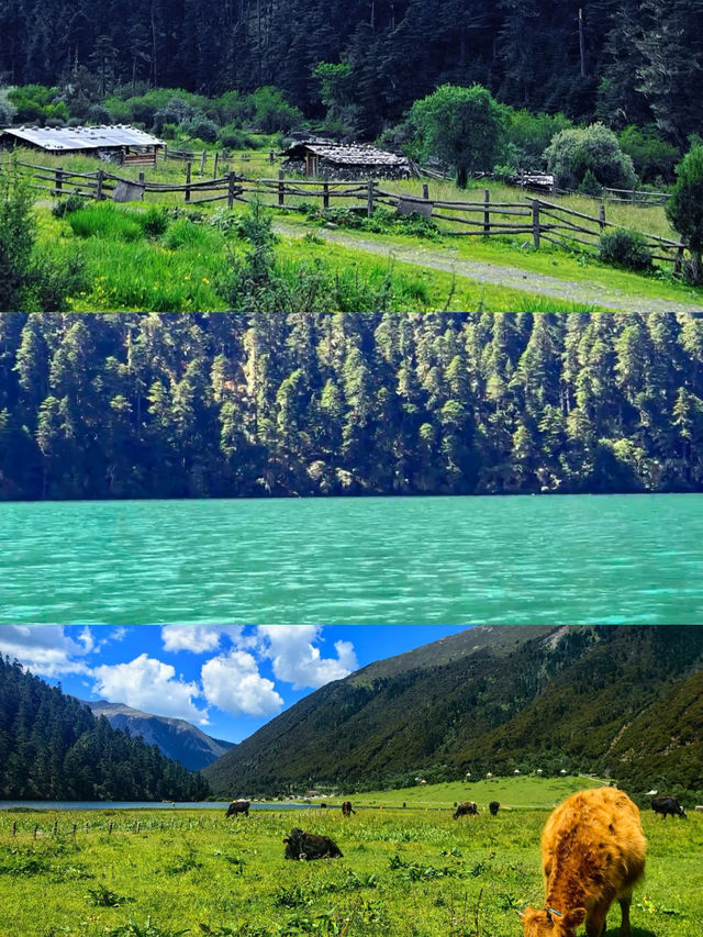 香格里拉無底湖3800米高原的藍色眼淚 香格里拉無底湖3800米高原的藍色眼淚