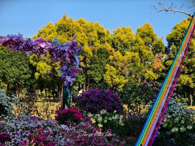 福田C位！在蓮花山頂吹風看深圳中軸線