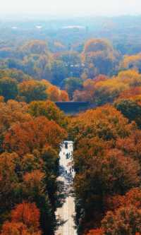 南京靈谷寺賞秋秘境