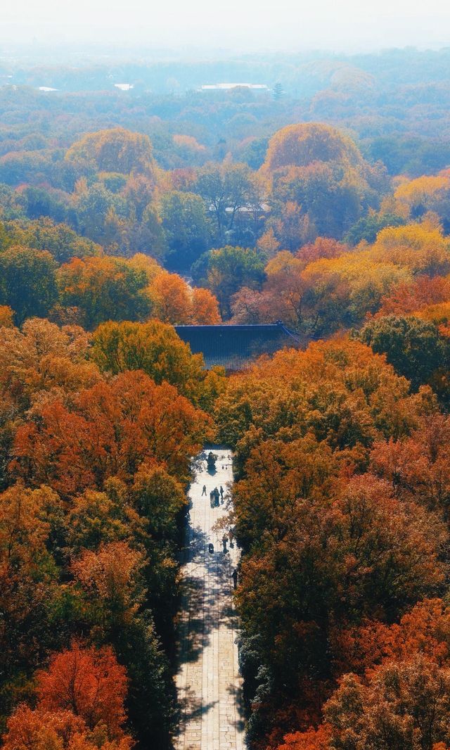 南京靈谷寺賞秋秘境