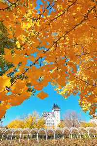 秋日煙台必住海景房