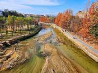 “塞納河”畔曬太陽