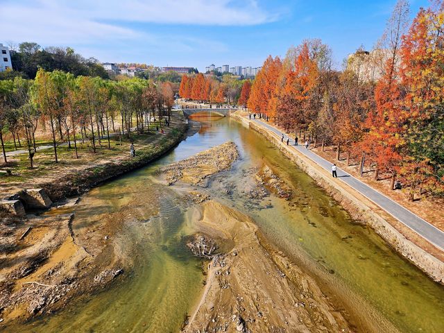 “塞納河”畔曬太陽 “塞納河”畔曬太陽