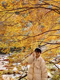 2025年11月16日廣元唐家河