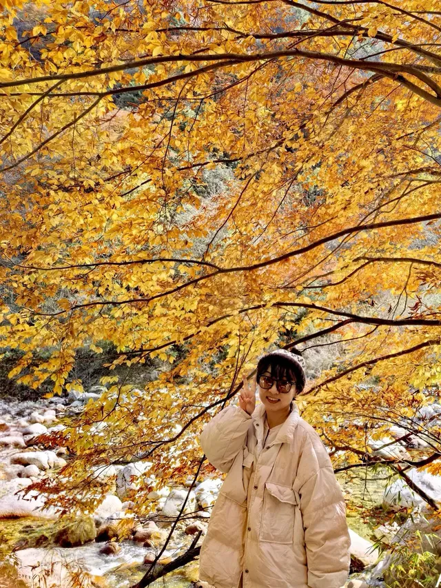 2025年11月16日廣元唐家河