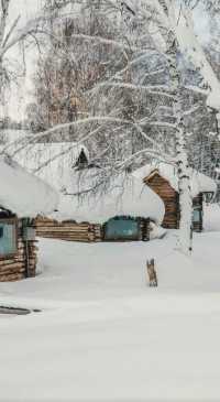 自駕新疆｜凜冬之際，與喀納斯的一場邂逅～