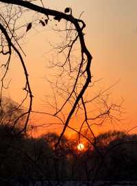 瀋陽冬日限定！北陵日落把皇家園林染成暖金