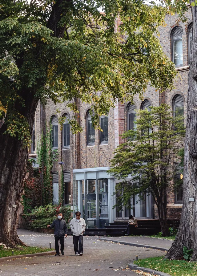 札幌|城市散步日常不妨找個公園治癒下 札幌|城市散步日常不妨找個公園治癒下