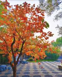 北方小江南｜磁州水墨園，一眼就驚艷的古風勝地