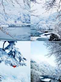 玉塵飛瀑，瓊枝漫山！快來捕捉翠華山的冬日限定浪漫~