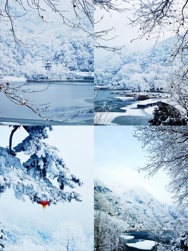 玉塵飛瀑，瓊枝漫山！快來捕捉翠華山的冬日限定浪漫~