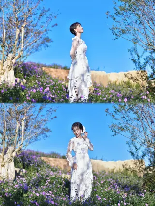 This winter's purple romance is brought to you by the Lantana at Qiushi Garden