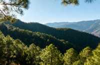 永仁4天慢遊:陽光、彝韻與山野風味的治癒之旅