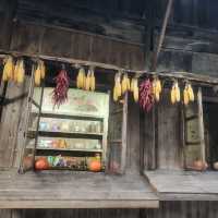 黃南林坑古村落｜藏著一整個絕美曬秋畫卷！