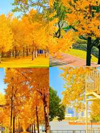 上海發布認證 已達巔峰值 相當炸裂