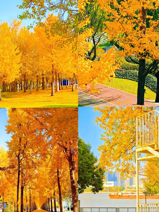 上海發布認證 已達巔峰值 相當炸裂