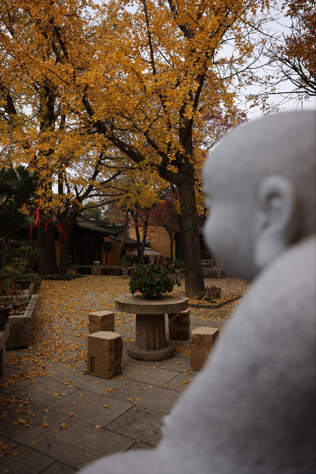 常熟小眾秘境！小雲棲寺的冬天真的美哭了！