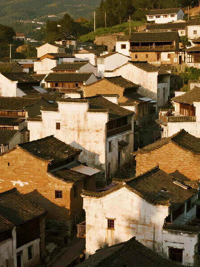 寧波12月遛娃！岙底村美過阿勒泰