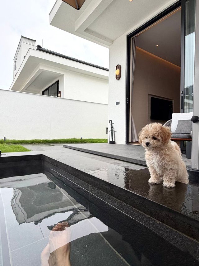 萌寵友好酒店TOP1