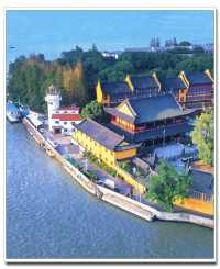 別擠外灘！青浦千年銀杏藏著上海最美秋！