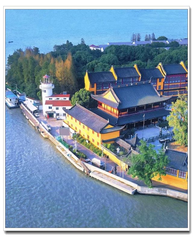 別擠外灘！青浦千年銀杏藏著上海最美秋！