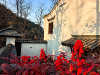 冬棲暖境,歲末安隅