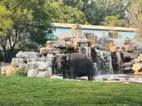 北京大興野生動物園-值得N刷