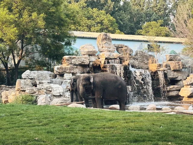 北京大興野生動物園-值得N刷