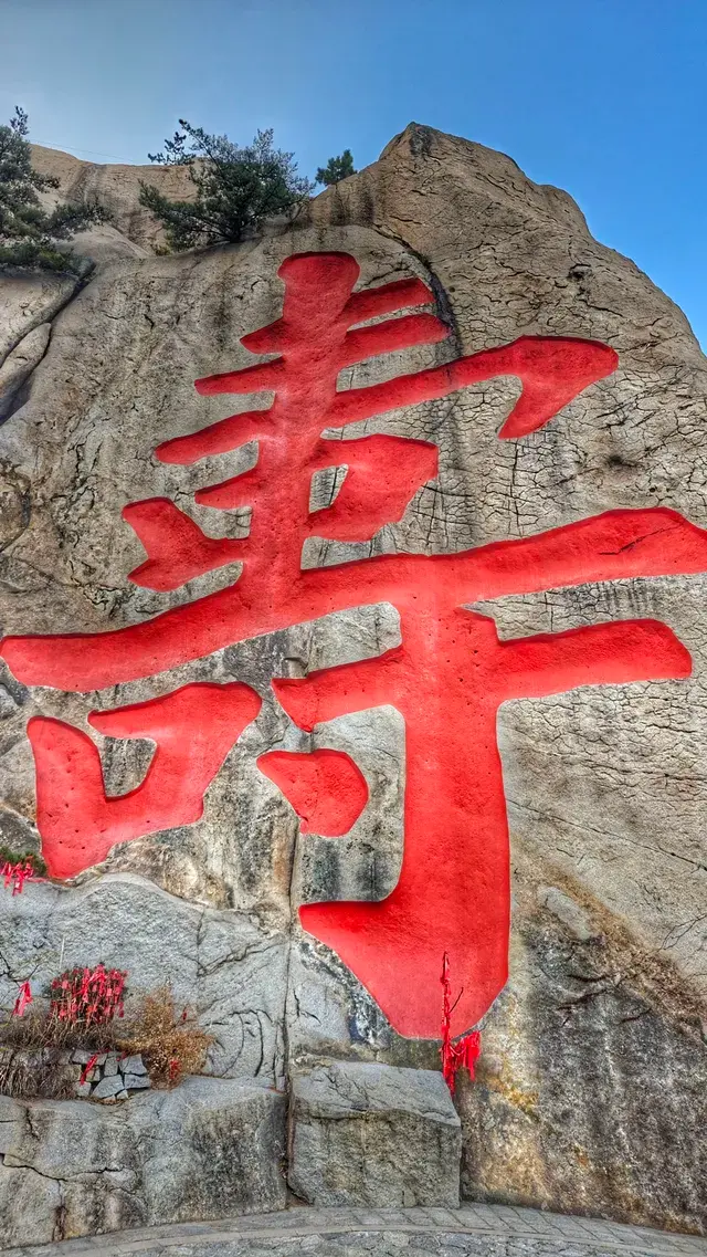 嶗山修仙回來，腿還是自己的～附門票攻略