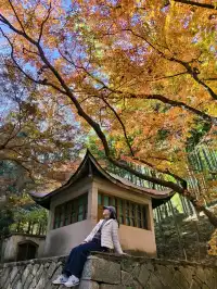 留住秋天的一百種方式之莫干山的楓葉