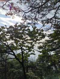 竹林寺∽廬山“空中佛國”！