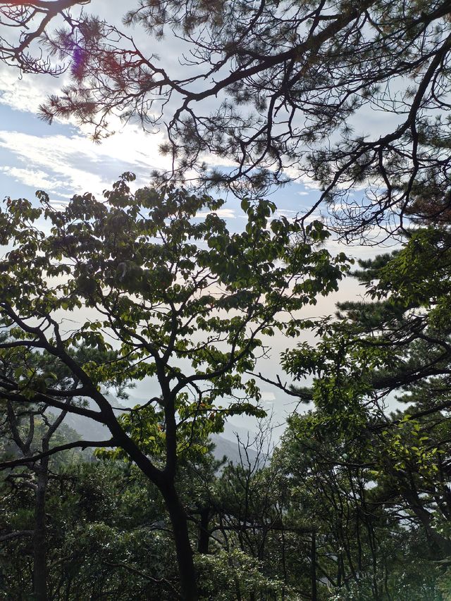 竹林寺∽廬山“空中佛國”！