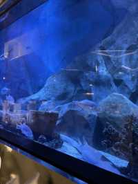 沉浸式打卡上海佘山世茂洲際酒店,這感覺絕了!