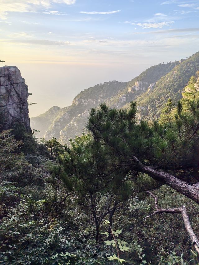 無限風光在險峰！